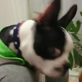 オカンのChu❤の画像