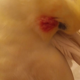 久々の   一本さん♡の画像