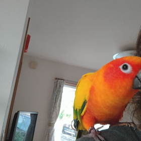 コロン家の夏休み１日目の画像