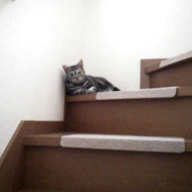 たまにはの画像