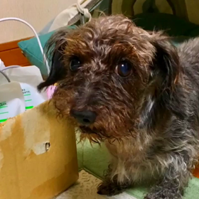 昨日の事の画像