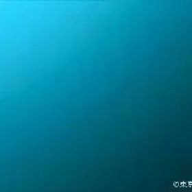 水中ロボットを煽る魚？！の画像