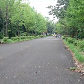 9月21日 100mBグループ⑦の画像