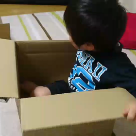 飛べないそうです。の画像