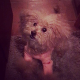 coming soon merry Christmasの画像