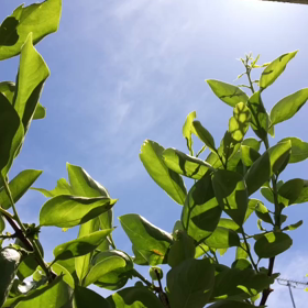 青空❣️の画像