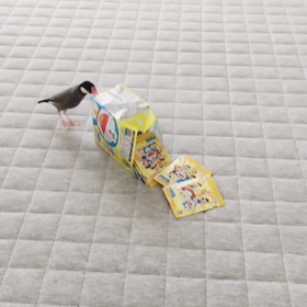 ドラえもんの画像