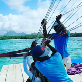 シギシギ氏インスタ　動画の画像
