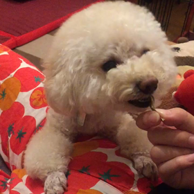 カルシウムの画像