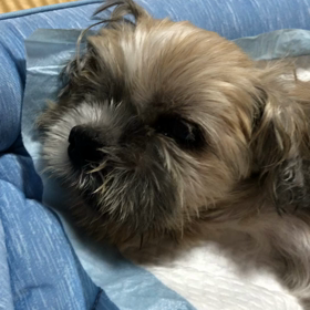 イチロー‼️の画像