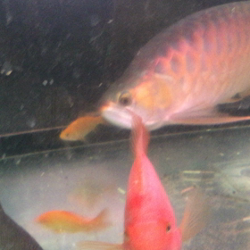 ええ感じの画像