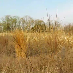 聞こえますか？の画像