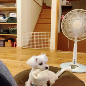 これは…の画像