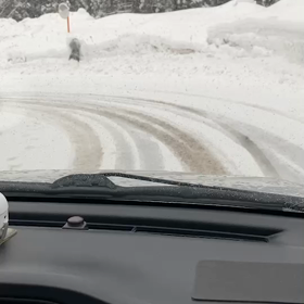 クマが出た。の画像