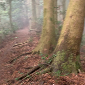 ちょっとだけ幻想的だった♪の画像