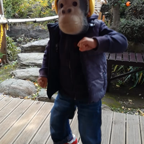 ハロウィンパーティー未就園児1の画像