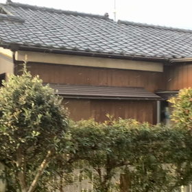 雪？　風花？の画像