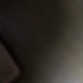 イビキをかく猫の画像