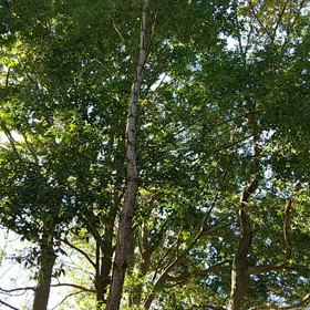 恩寵はどこにあるのかの画像