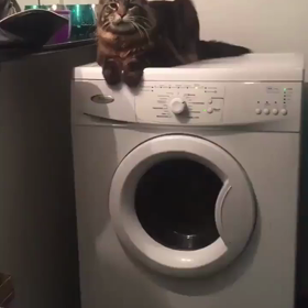 あ"あ"あ"あ"あ"の画像