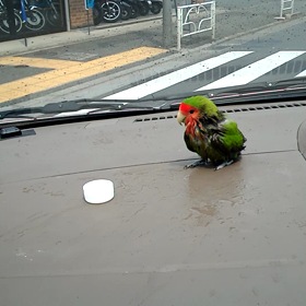 水遊びその②の画像