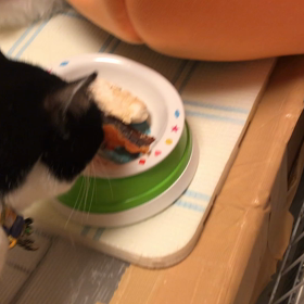 おやつの時間の画像