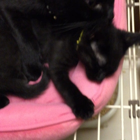 愛おしい٩꒰ ˘ ³˘꒱۶❣♥♡の画像