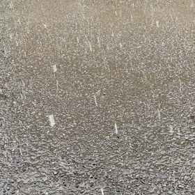 ガッツリ降ってますねの画像