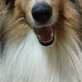 薬剤師さん問題？と優しい世界の画像