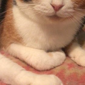 がんばろうの画像