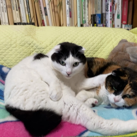 占いからの不穏を吹き飛ばすの画像