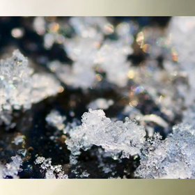 ひとり、ぼやき　♡    ＆　2024年7本、8本の画像