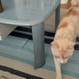 ソファで仰向けになると猫達が来るの画像