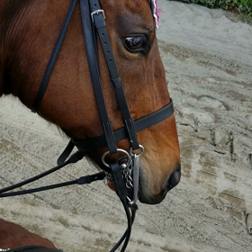 待ち時間……の画像