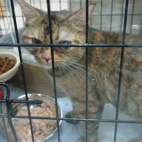 あくびさん、悪化してますの画像