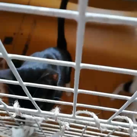 優ちゃん親子の近況の画像