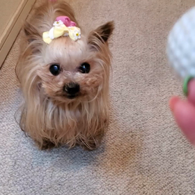 雨音の中の画像