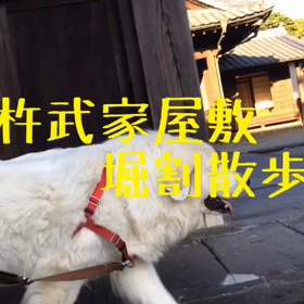 堀割散歩( ^ω^ )の画像