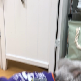 こんな感じですよ〜。の画像