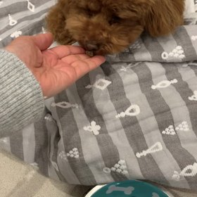 フランス料理なみの晩ご飯（笑）の画像