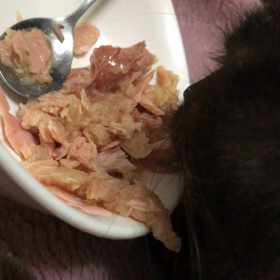 ダディの近況の画像