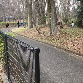 多摩湖坂ダッシュの画像