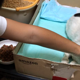 三咲ちゃん娘と初対面☺️の画像