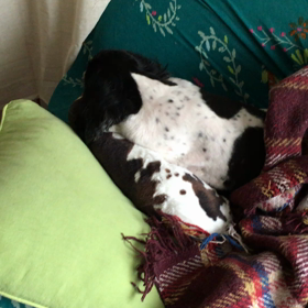 朝のあのあれをの画像