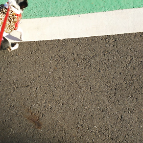 暖かいのでの画像