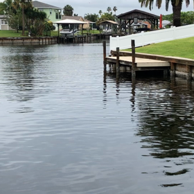 イルカ3頭の画像