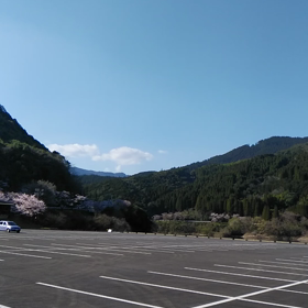 桜の画像