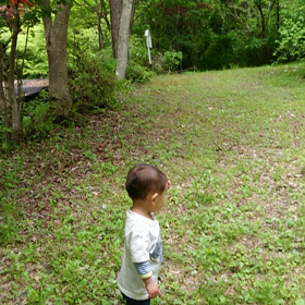 日々の成長うれしの画像