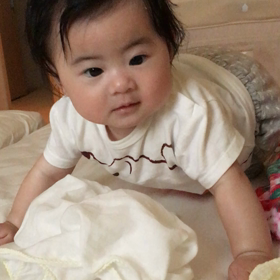 なかなかの画像