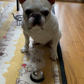 呼びリン始めましたぁ〜❣️の画像